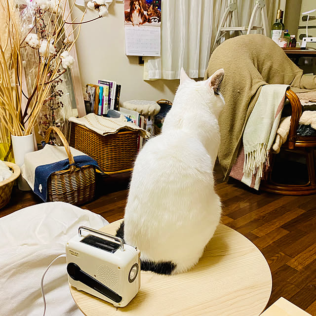 YUKAさんの部屋