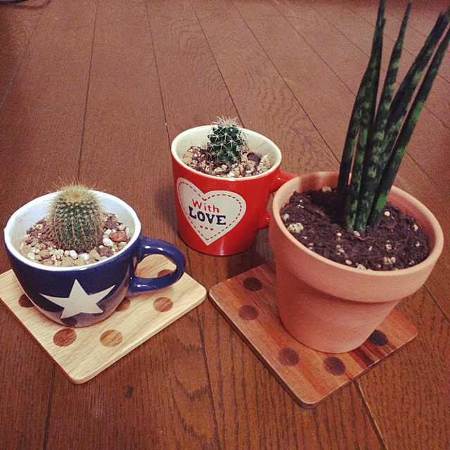 sakiさんの実例写真