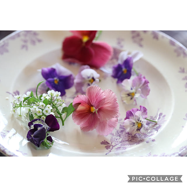Rinrinfrenchさんの実例写真