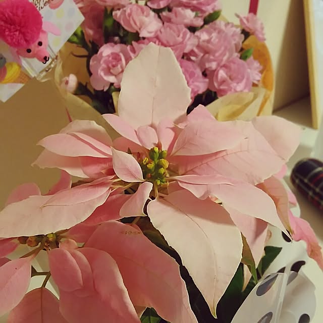 sayaさんの実例写真