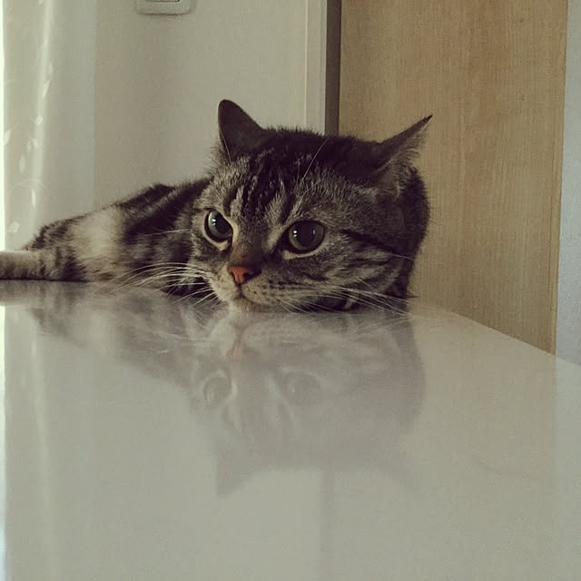 richanさんの実例写真