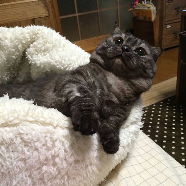 norimokuさんの実例写真