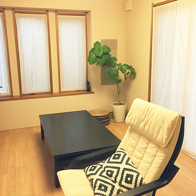 部屋全体/観葉植物/IKEAのインテリア実例 - 2017-10-08 17:01:48