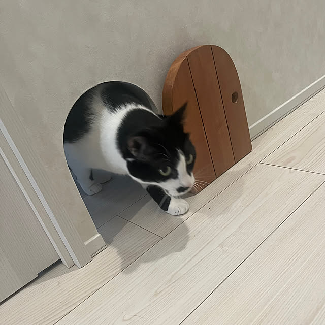 HIROMIさんの実例写真