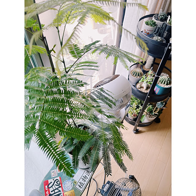 w_end_0625さんの実例写真