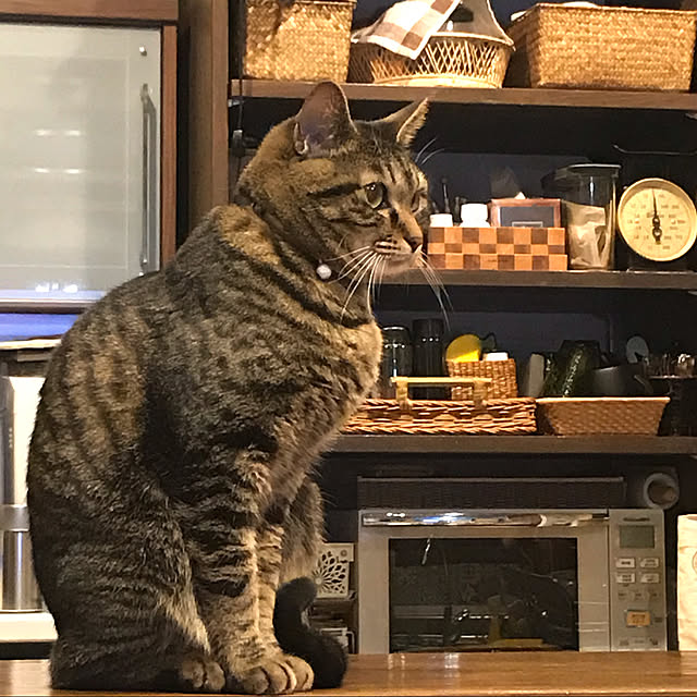 maruさんの実例写真