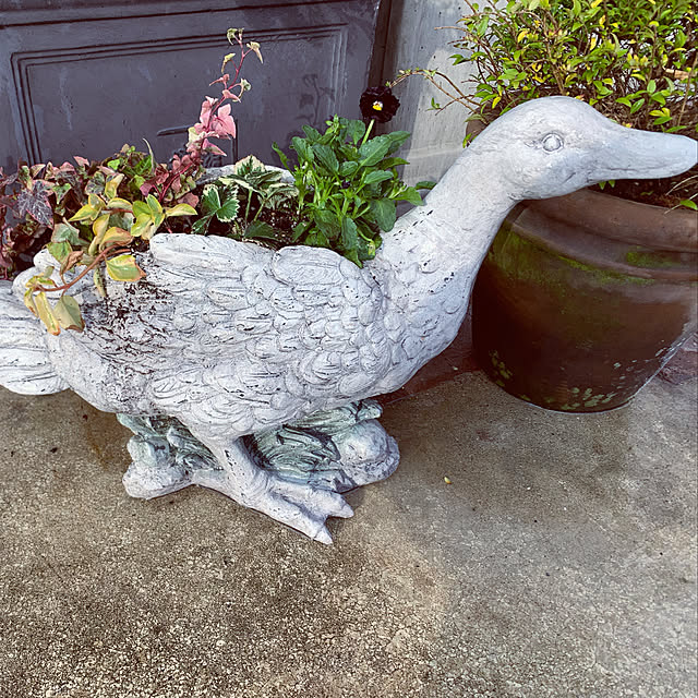 AYUKOさんの実例写真