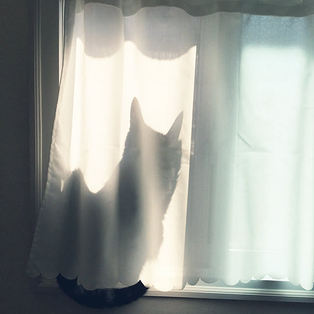 richanさんの実例写真