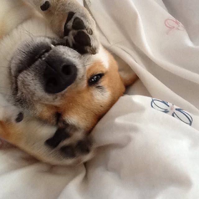 kotaさんの実例写真