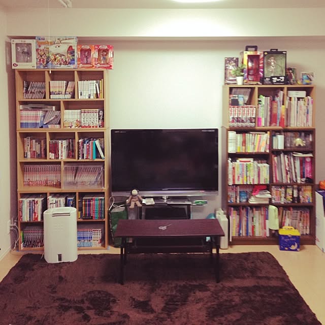 gashuuさんの実例写真