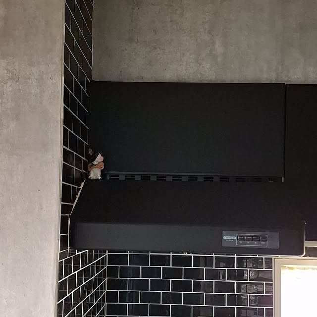noaさんの実例写真