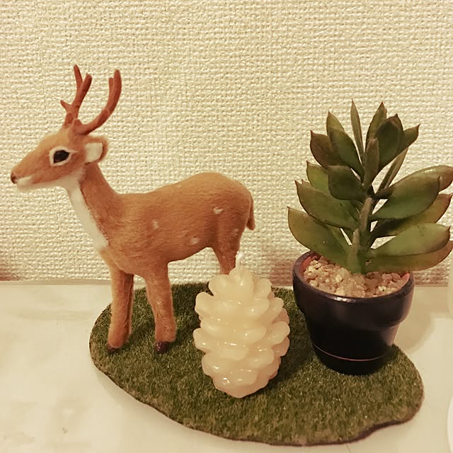 chiroruさんの実例写真