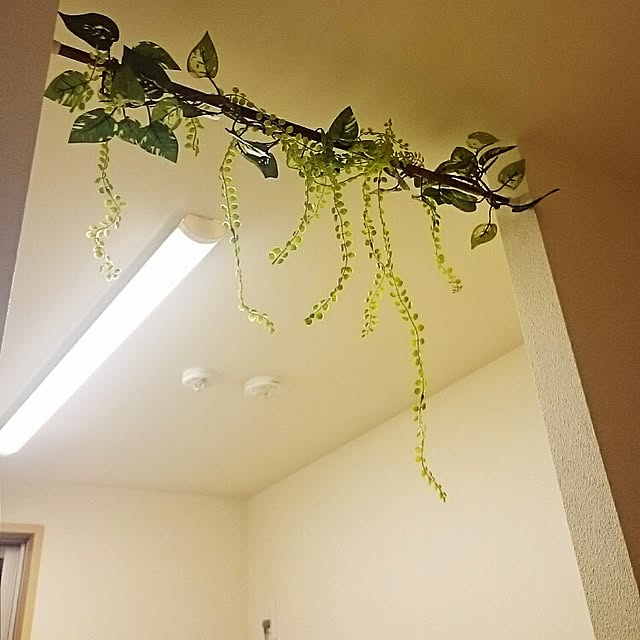 sakuraさんの実例写真
