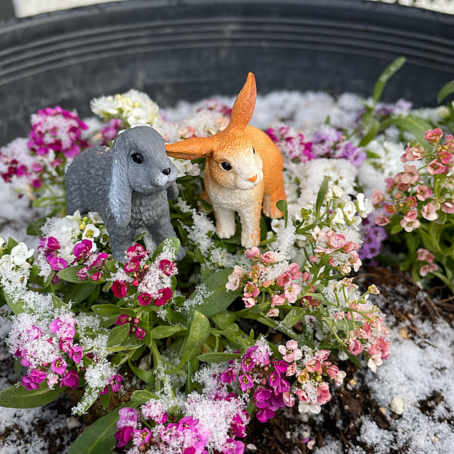 ronronさんの実例写真