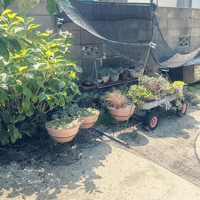 ki-no-koさんの部屋