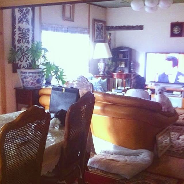 chiiico.yuko.さんの実例写真