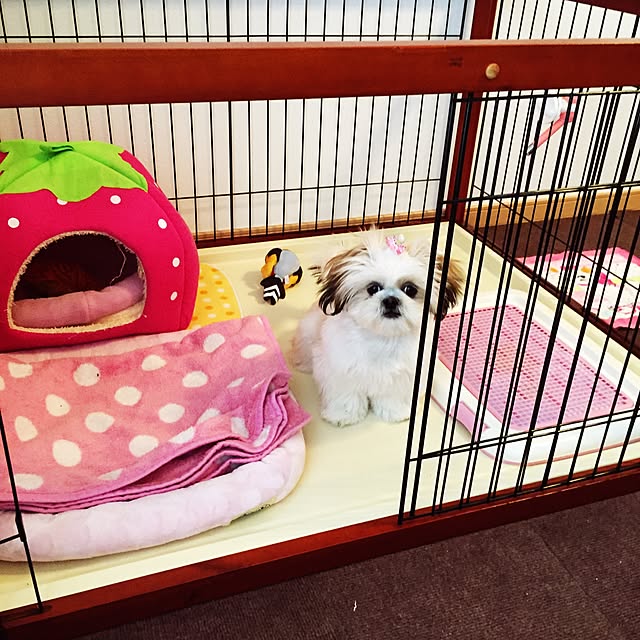 Mieさんの実例写真