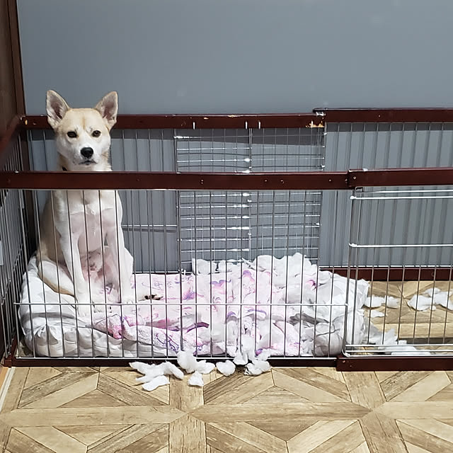 BAZさんの実例写真