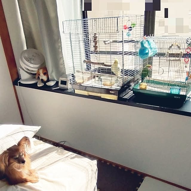 toratanさんの実例写真