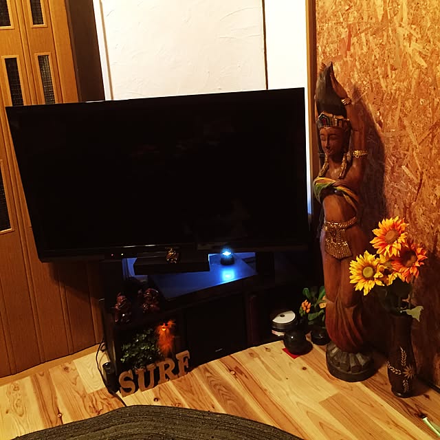 llx4500さんの実例写真