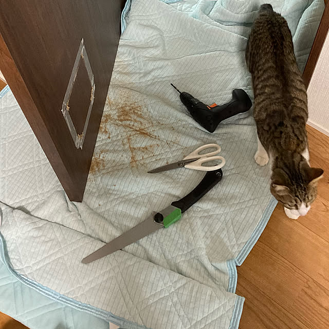 Holさんの実例写真