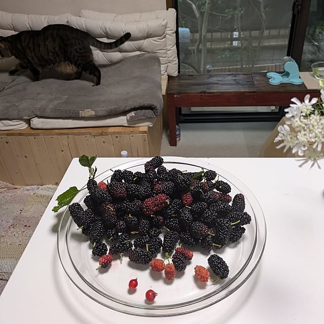 mori_6_12さんの部屋