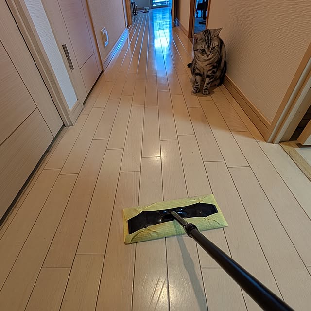 lovepeaceさんの部屋