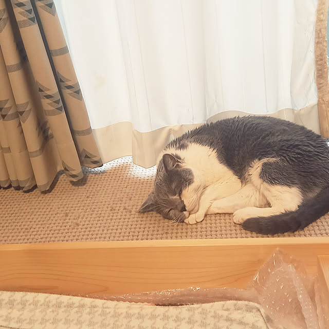 rhuさんの実例写真
