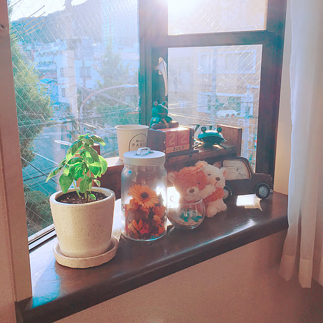 実例写真