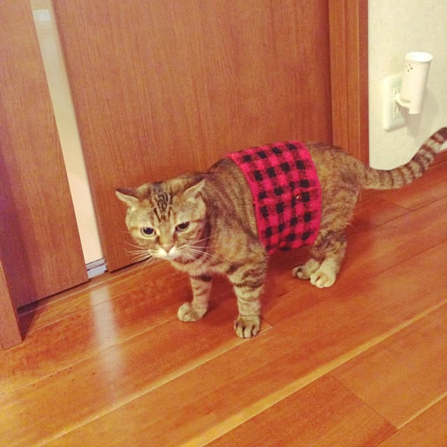 Y.Gさんの実例写真