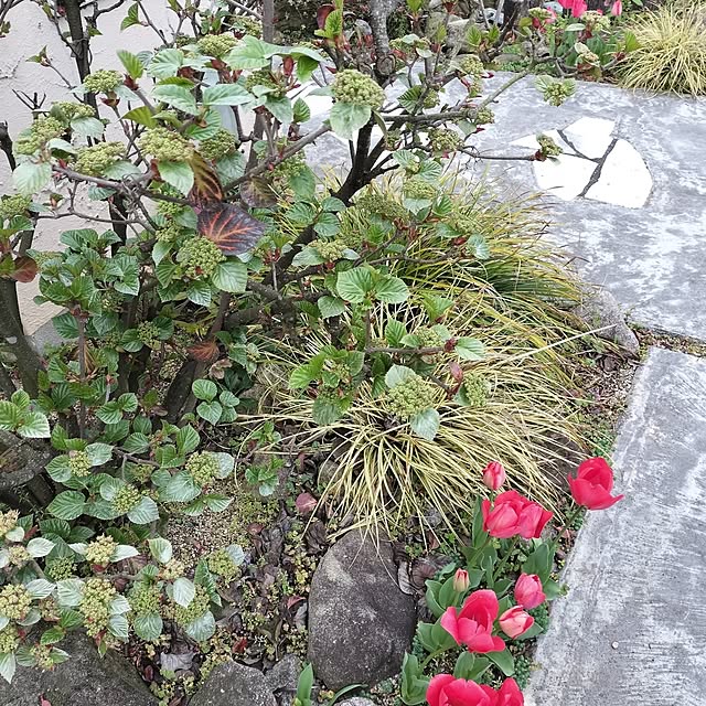 feuileさんの部屋