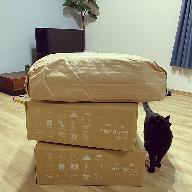 nicoさんの実例写真