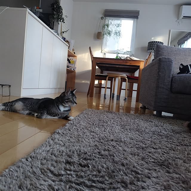 maimaiさんの実例写真