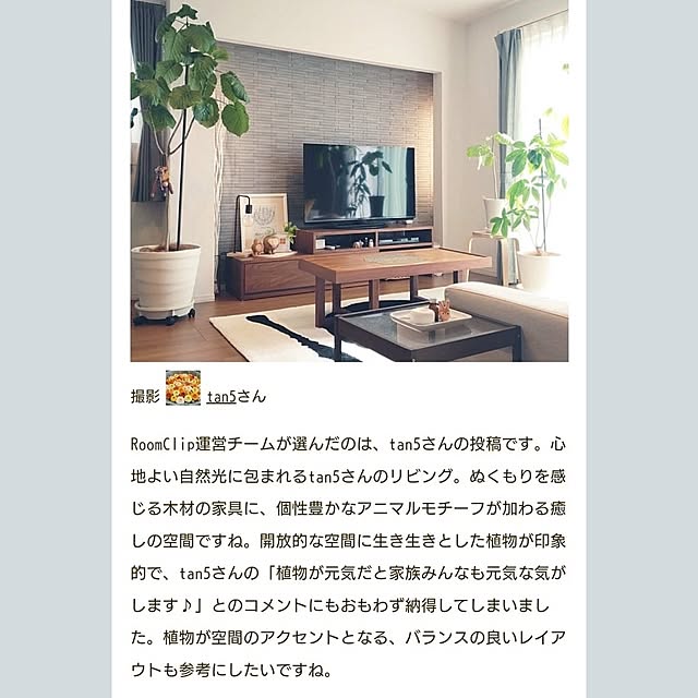 tan5さんの実例写真