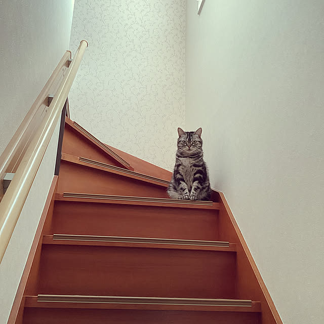 richanさんの実例写真
