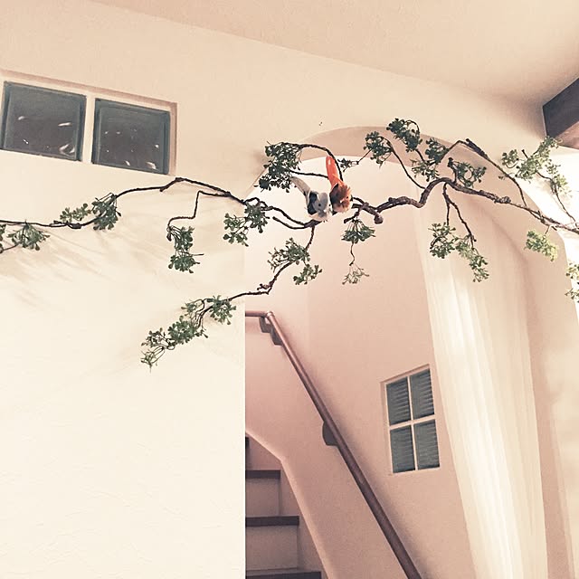 Yayuyoさんの実例写真