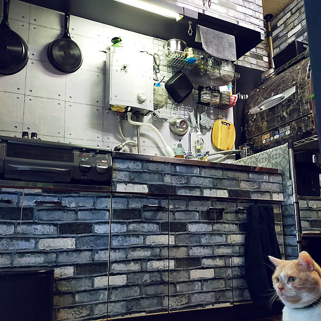 kobakissaさんの実例写真
