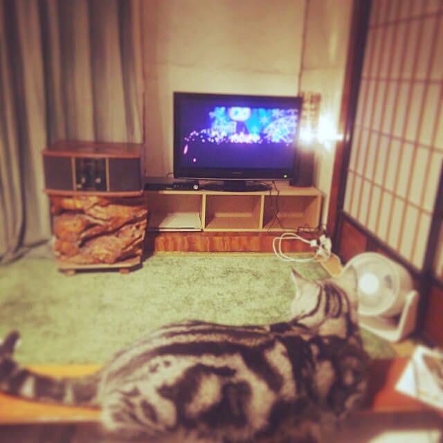 Asukaさんの実例写真