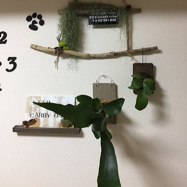 emiさんの実例写真