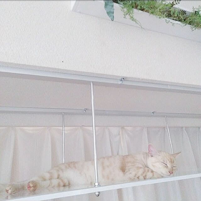 heart.emiemi57.whiteさんの実例写真