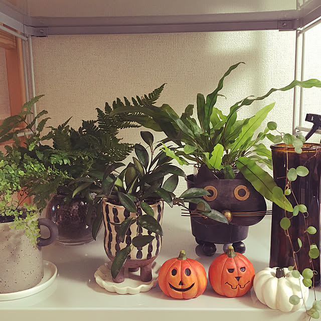 torakitiさんの実例写真