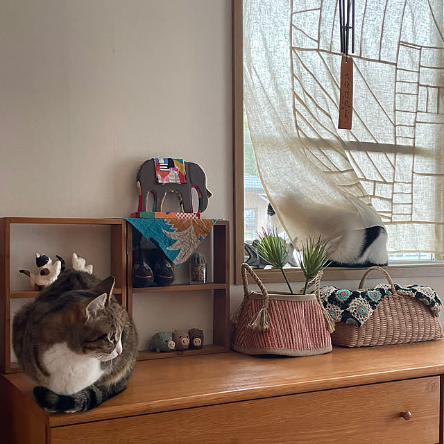 nobikoさんの部屋
