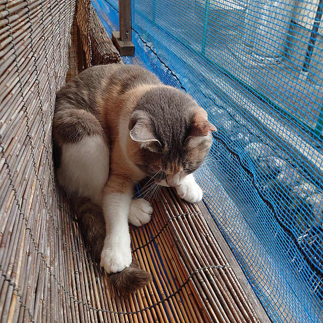fukuさんの実例写真
