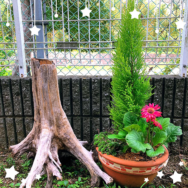 koyuriさんの実例写真