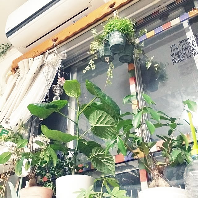DayRee.さんの実例写真