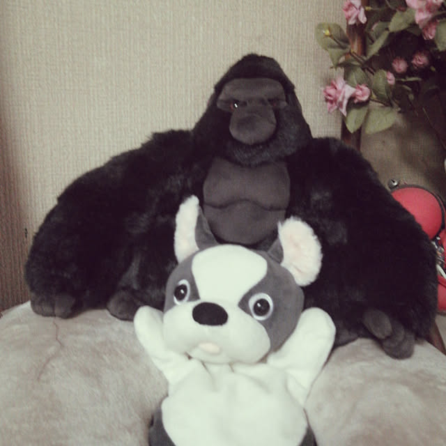 keiさんの実例写真