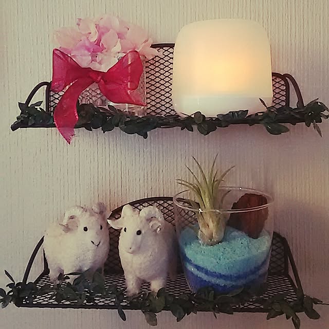 実例写真
