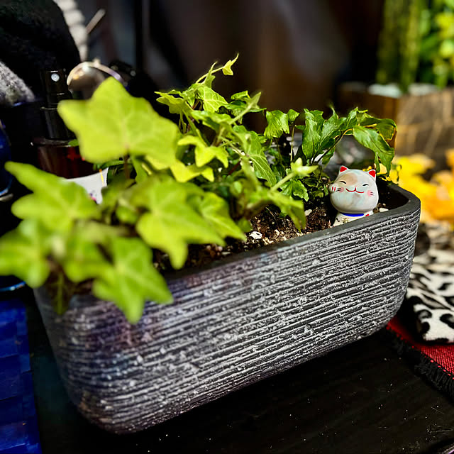 tututu0204さんの実例写真