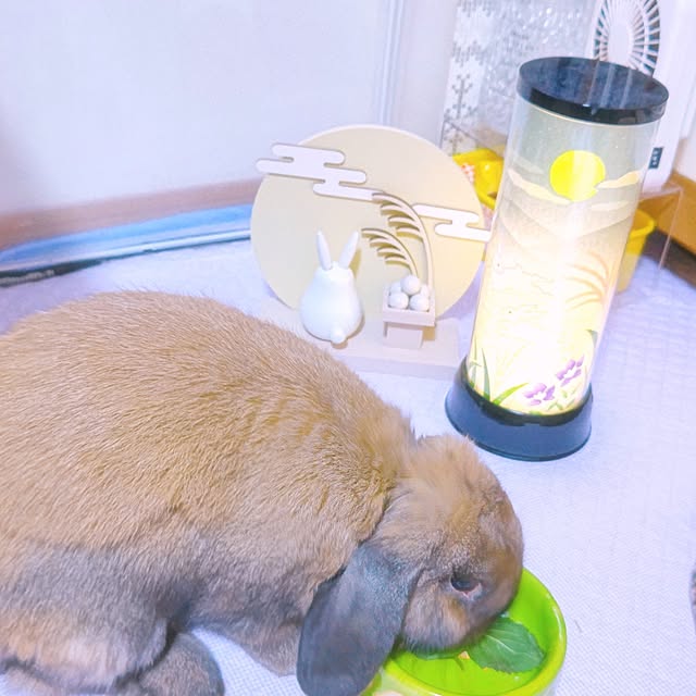 mariaさんの部屋