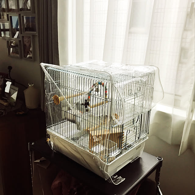 peeeさんの部屋